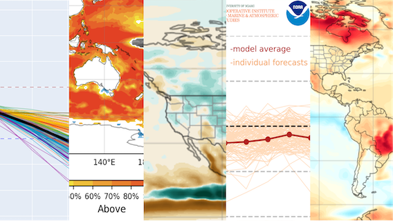 thumbnail nmme illustration